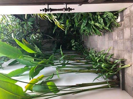 Entrance to your own private oasis